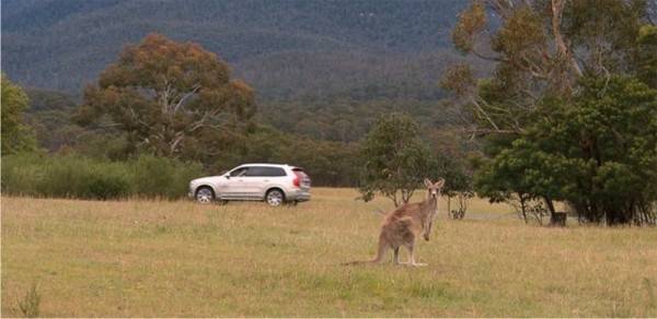 VOLVO_KANGAROO_TEST