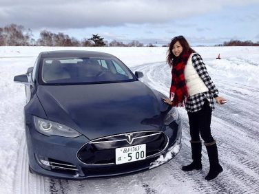 氷上のモデルS