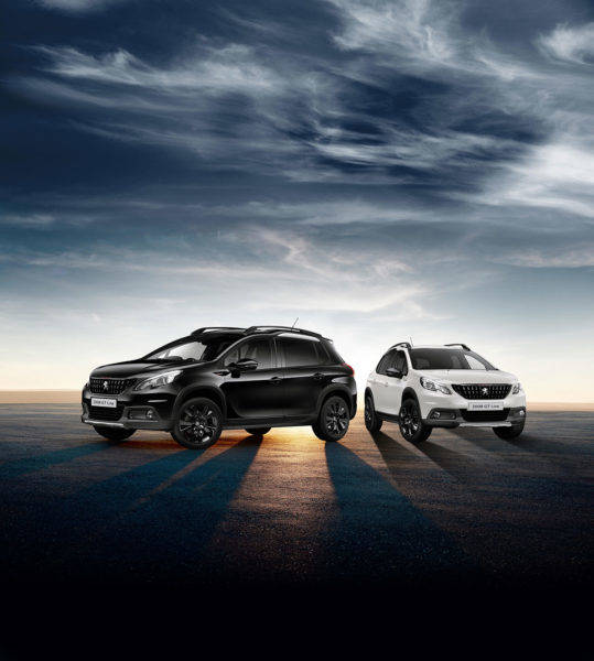 プジョー　PEUGEOT 2008 GT Line Black & White Edition