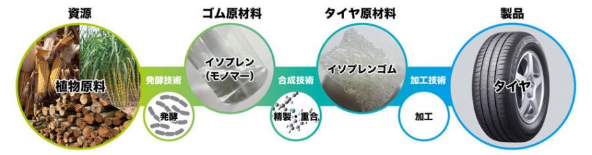 ブリヂストン 植物原料由来イソプレンゴムの実用化 植物原料由来イソプレン及び高機能イソプレン誘導体製造技術の社会実装に向けた課題抽出 width=
