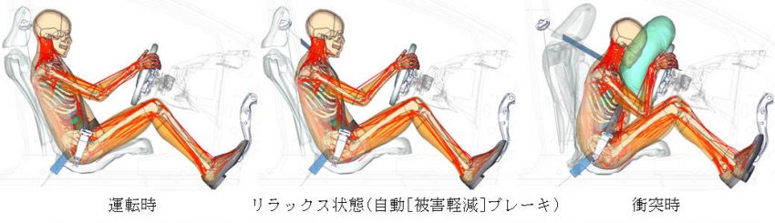 リラックス状態での自動ブレーキ作動と衝突