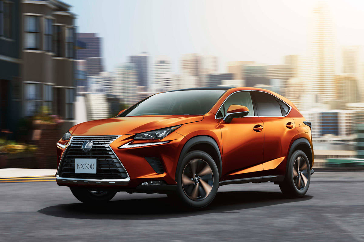 NX300“version L”（ブレージングカーネリアンコントラストレイヤリング）＜オプション装着車＞