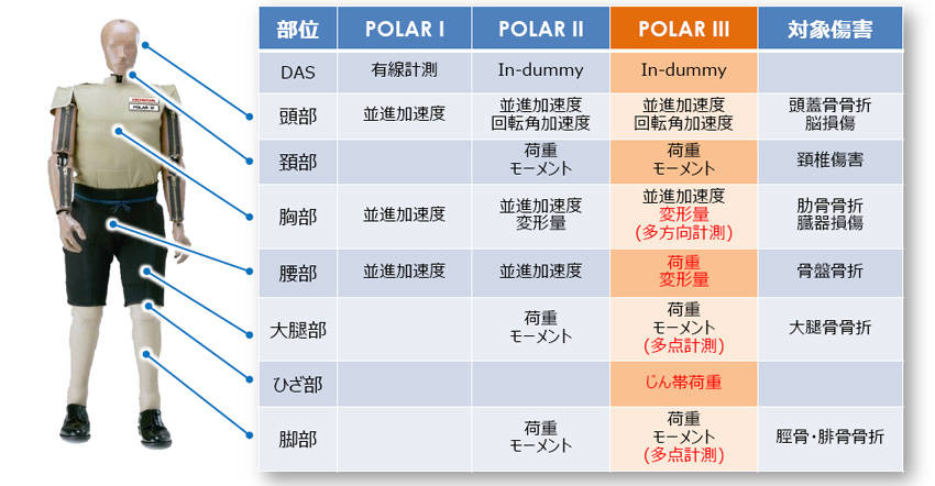 ホンダ独自の歩行者ダミーの進化