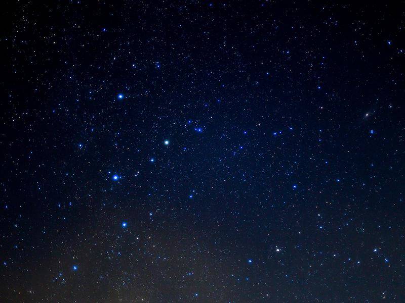 満天の星空です。おまけに流れ星までみえました〜