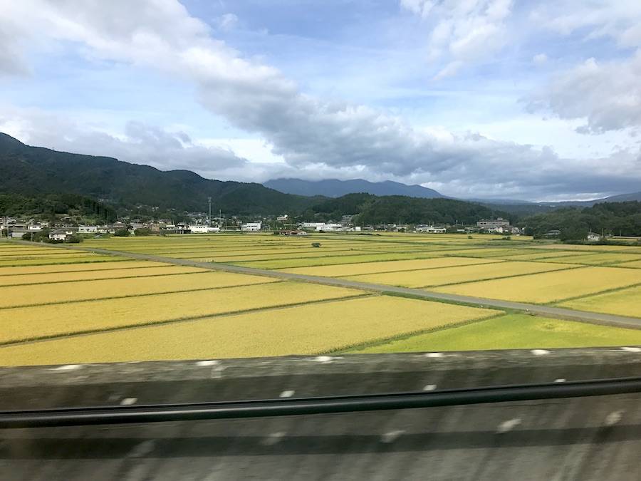 編集長 髙橋明の「取材、ときどき、タカハシ」 クルマと過ごす日々