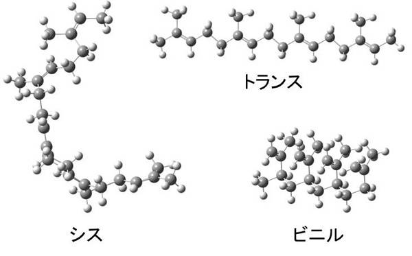 ミクロ構造