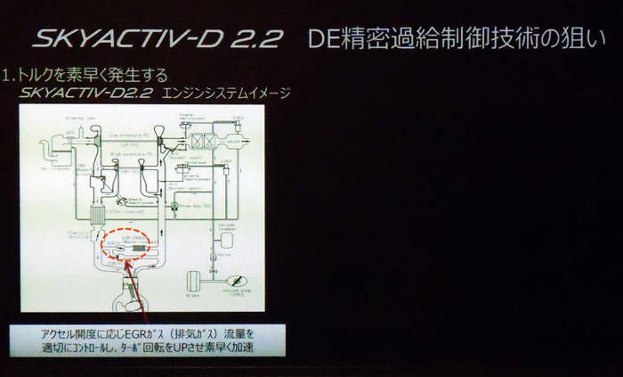 DSCN6624