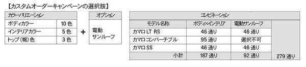 カスタムオーダーキャンペーンの選択肢