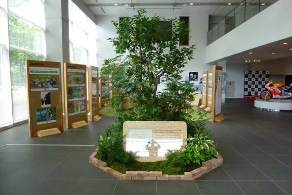 ブリヂストン こどもエコ絵画コンクール 昨年の展示の様子