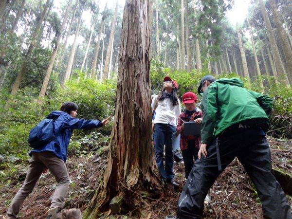 ブリヂストン「エコピアの森 久留米」森林保全プロジェクト
