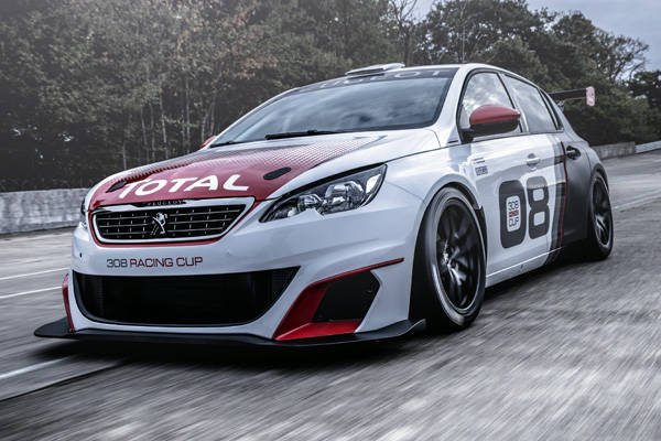 レース仕様の308 レーシングカップ
